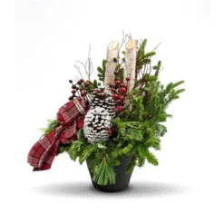 Brookdale Treeland Nurseries 30-in Christmas Potted Greenery Arrangement