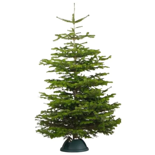 Super Grip 4.7-in Plastic Tree Stand For 9-ft Christmas Tree - Image 5