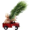 Tropi Co 22-in Pickup Decor And Live Mini Christmas Tree