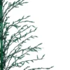 Northlight 6-ft Pre-Lit Green Cascade Twig Tree Christmas With Green Incandescent Ligths